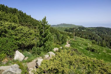 Bulgaristan 'ın Vitosha Dağı' nın Muhteşem Bahar Panoraması
