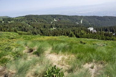 Bulgaristan 'ın Vitosha Dağı' nın Muhteşem Bahar Panoraması