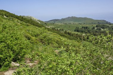 Bulgaristan 'ın Vitosha Dağı' nın Muhteşem Bahar Panoraması