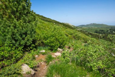 Bulgaristan 'ın Vitosha Dağı' nın Muhteşem Bahar Panoraması