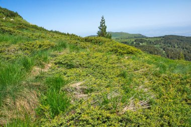 Bulgaristan 'ın Vitosha Dağı' nın Muhteşem Bahar Panoraması