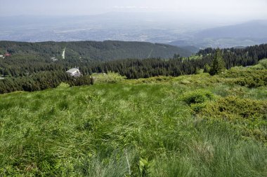 Bulgaristan 'ın Vitosha Dağı' nın Muhteşem Bahar Panoraması