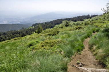 Bulgaristan 'ın Vitosha Dağı' nın Muhteşem Bahar Panoraması