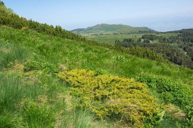 Bulgaristan 'ın Vitosha Dağı' nın Muhteşem Bahar Panoraması