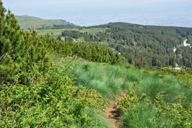 Bulgaristan 'ın Vitosha Dağı' nın Muhteşem Bahar Panoraması