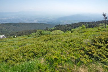Bulgaristan 'ın Vitosha Dağı' nın Muhteşem Bahar Panoraması