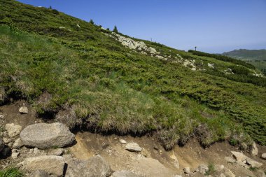 Bulgaristan 'ın Vitosha Dağı' nın Muhteşem Bahar Panoraması