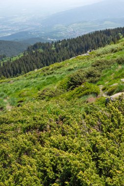 Bulgaristan 'ın Vitosha Dağı' nın Muhteşem Bahar Panoraması