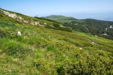 Bulgaristan 'ın Vitosha Dağı' nın Muhteşem Bahar Panoraması