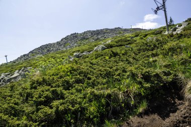 Bulgaristan 'ın Vitosha Dağı' nın Muhteşem Bahar Panoraması
