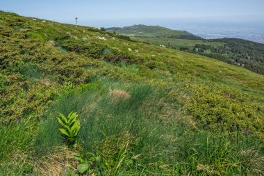 Bulgaristan 'ın Vitosha Dağı' nın Muhteşem Bahar Panoraması