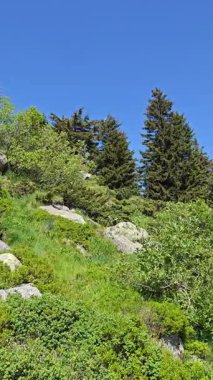 Bulgaristan 'ın Vitosha Dağı' nın Muhteşem Bahar Panoraması