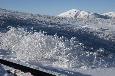 Bulgaristan 'ın Musala zirvesi yakınlarındaki Rila Dağı' nın İnanılmaz Kış Manzarası