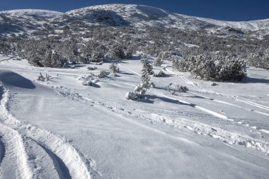 Bulgaristan 'ın Musala zirvesi yakınlarındaki Rila Dağı' nın İnanılmaz Kış Manzarası