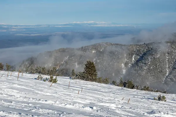 Bulgaristan 'ın Musala zirvesi yakınlarındaki Rila Dağı' nın İnanılmaz Kış Manzarası