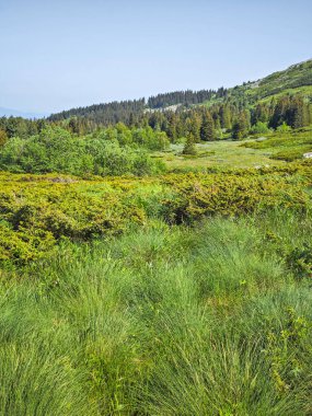 Bulgaristan 'ın Vitosha Dağı' nın Muhteşem Bahar Panoraması