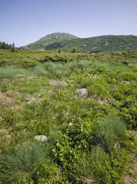 Bulgaristan 'ın Vitosha Dağı' nın Muhteşem Bahar Panoraması