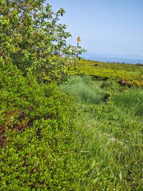 Bulgaristan 'ın Vitosha Dağı' nın Muhteşem Bahar Panoraması