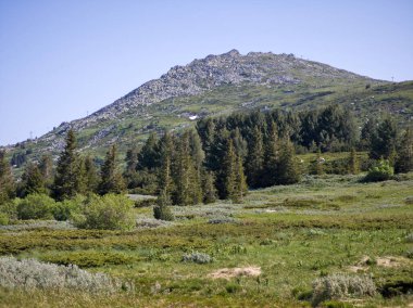 Bulgaristan 'ın Vitosha Dağı' nın Muhteşem Bahar Panoraması