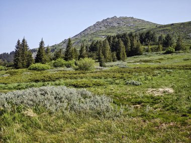 Bulgaristan 'ın Vitosha Dağı' nın Muhteşem Bahar Panoraması