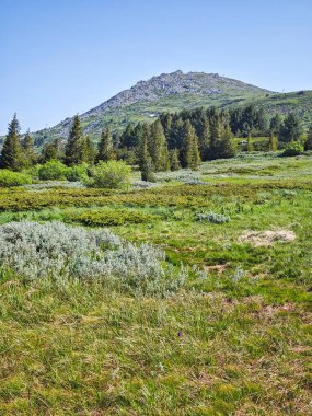 Bulgaristan 'ın Vitosha Dağı' nın Muhteşem Bahar Panoraması