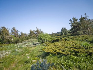 Bulgaristan 'ın Vitosha Dağı' nın Muhteşem Bahar Panoraması