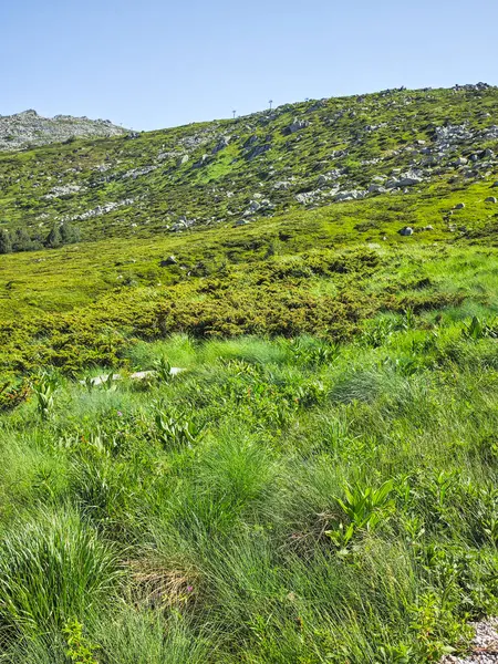 Bulgaristan 'ın Vitosha Dağı' nın Muhteşem Bahar Panoraması