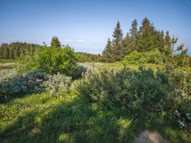 Bulgaristan 'ın Vitosha Dağı' nın Muhteşem Bahar Panoraması