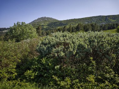 Bulgaristan 'ın Vitosha Dağı' nın Muhteşem Bahar Panoraması