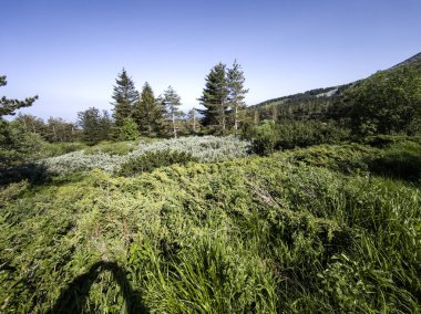 Bulgaristan 'ın Vitosha Dağı' nın Muhteşem Bahar Panoraması