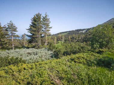 Bulgaristan 'ın Vitosha Dağı' nın Muhteşem Bahar Panoraması