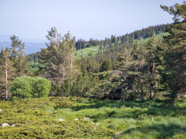Bulgaristan 'ın Vitosha Dağı' nın Muhteşem Bahar Panoraması