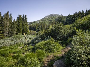 Bulgaristan 'ın Vitosha Dağı' nın Muhteşem Bahar Panoraması