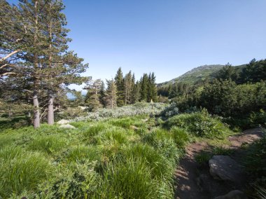 Bulgaristan 'ın Vitosha Dağı' nın Muhteşem Bahar Panoraması