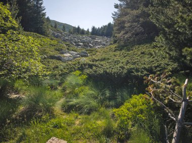 Bulgaristan 'ın Vitosha Dağı' nın Muhteşem Bahar Panoraması