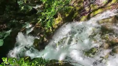 Bulgaristan 'ın Filibe bölgesindeki Rodos Dağı' nda Bachkovo şelaleleri çağlıyor