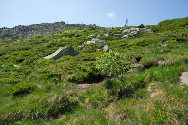 Bulgaristan 'ın Vitosha Dağı' nın İnanılmaz Bahar Manzarası