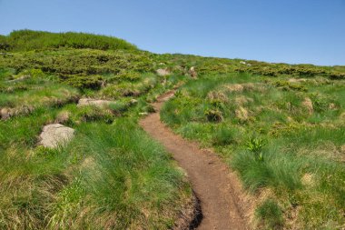 Bulgaristan 'ın Vitosha Dağı' nın İnanılmaz Bahar Manzarası