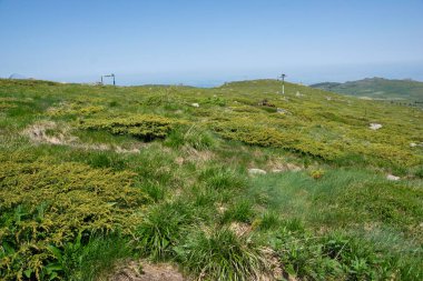 Bulgaristan 'ın Vitosha Dağı' nın İnanılmaz Bahar Manzarası