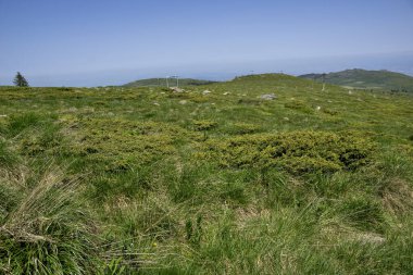 Bulgaristan 'ın Vitosha Dağı' nın İnanılmaz Bahar Manzarası