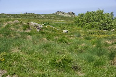 Bulgaristan 'ın Vitosha Dağı' nın İnanılmaz Bahar Manzarası