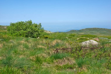 Bulgaristan 'ın Vitosha Dağı' nın İnanılmaz Bahar Manzarası