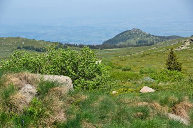 Bulgaristan 'ın Vitosha Dağı' nın İnanılmaz Bahar Manzarası