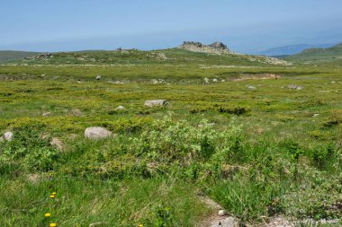Bulgaristan 'ın Vitosha Dağı' nın İnanılmaz Bahar Manzarası