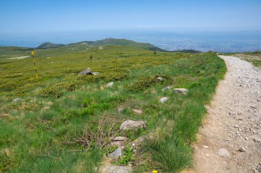 Bulgaristan 'ın Vitosha Dağı' nın İnanılmaz Bahar Manzarası