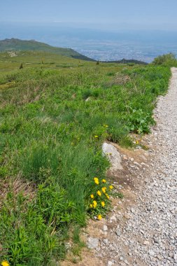 Bulgaristan 'ın Vitosha Dağı' nın İnanılmaz Bahar Manzarası