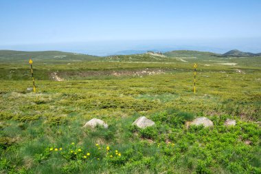 Bulgaristan 'ın Vitosha Dağı' nın İnanılmaz Bahar Manzarası