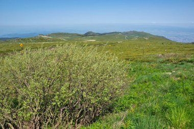 Bulgaristan 'ın Vitosha Dağı' nın İnanılmaz Bahar Manzarası