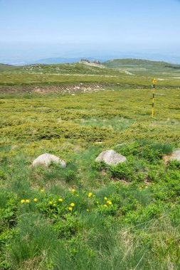 Bulgaristan 'ın Vitosha Dağı' nın İnanılmaz Bahar Manzarası