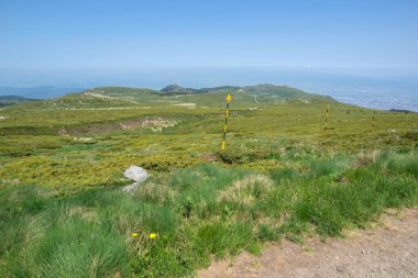 Bulgaristan 'ın Vitosha Dağı' nın İnanılmaz Bahar Manzarası
